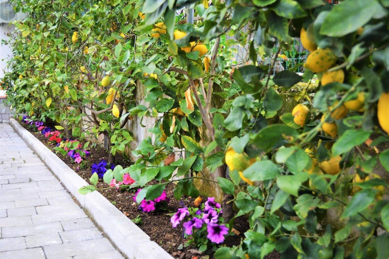 Casa Fiorita Bed and Breakfast Gragnano Εξωτερικό φωτογραφία